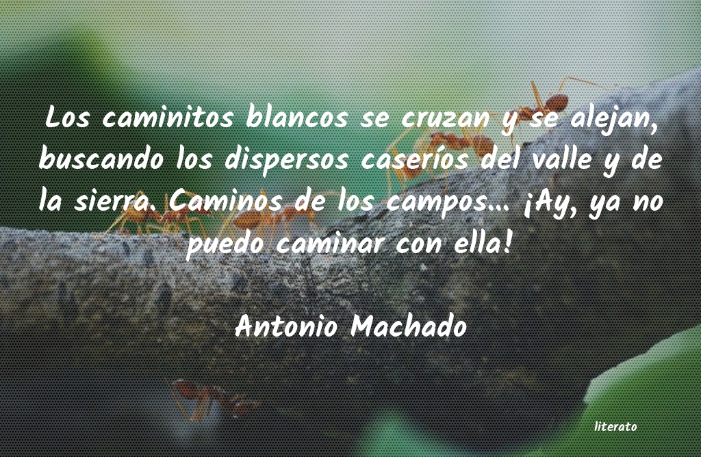 frases de Antonio Machado