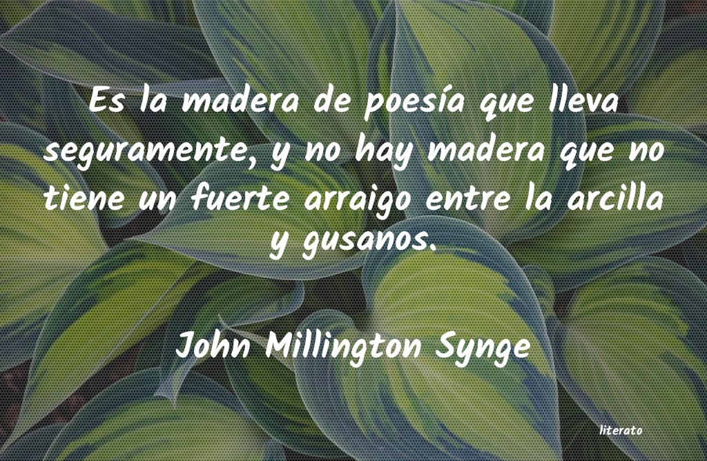 Frases de John Millington Synge