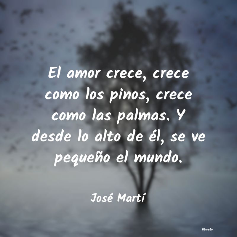 Frases de José Martí