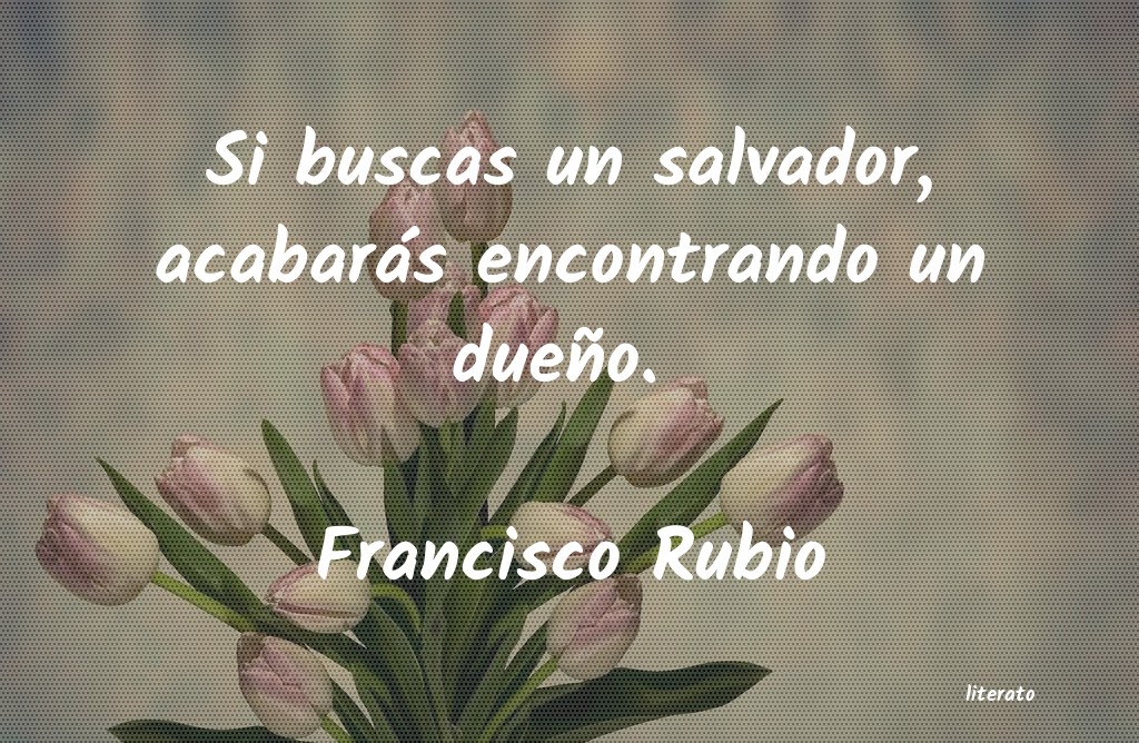 Frases de Francisco Rubio