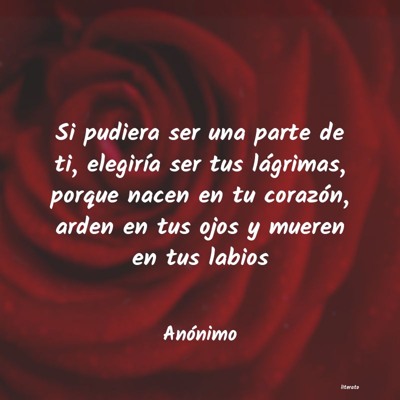 frases