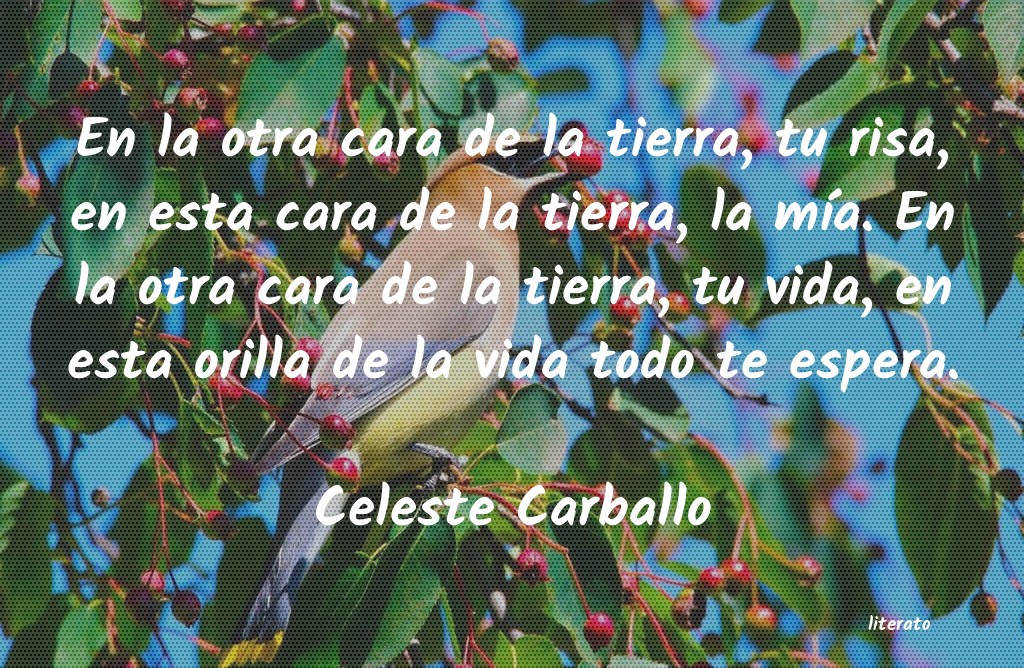 Frases de Celeste Carballo