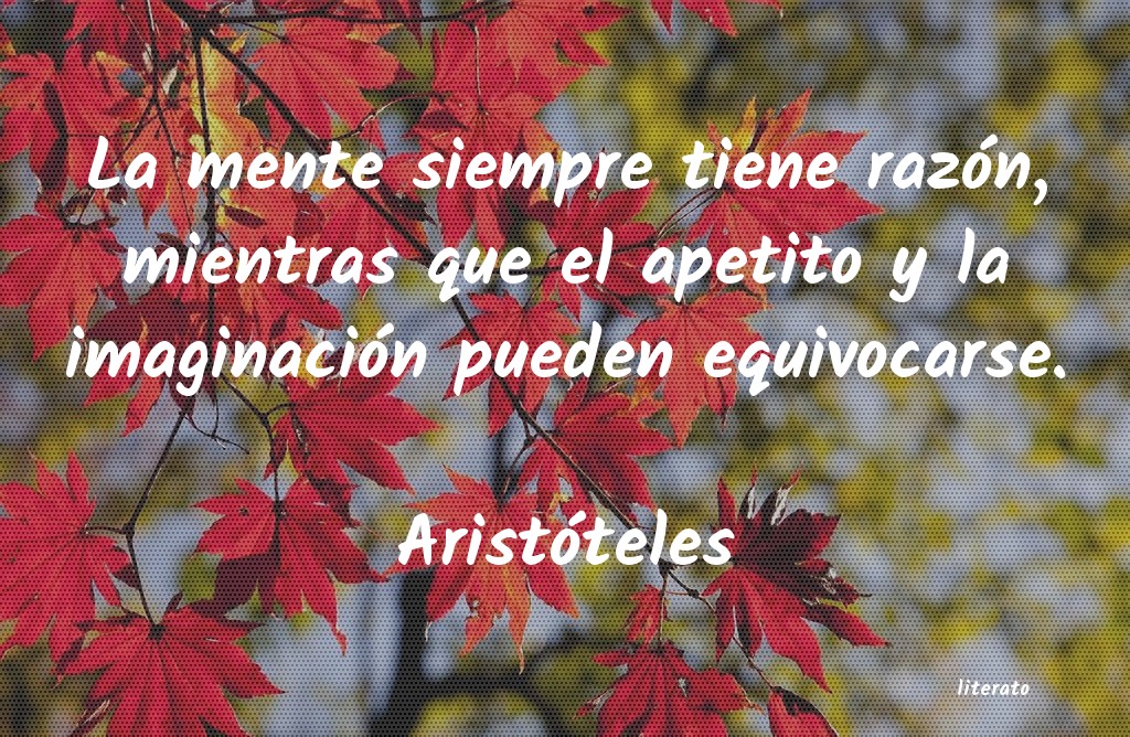 frases de Aristóteles
