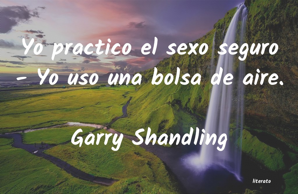 Frases de Garry Shandling