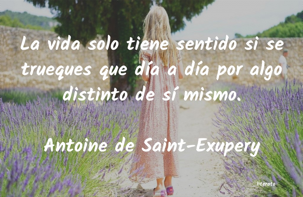 Frases de Antoine de Saint-Exupery