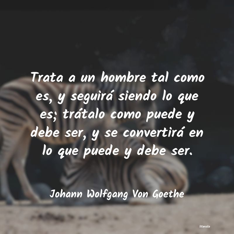 Frases de Johann Wolfgang Von Goethe