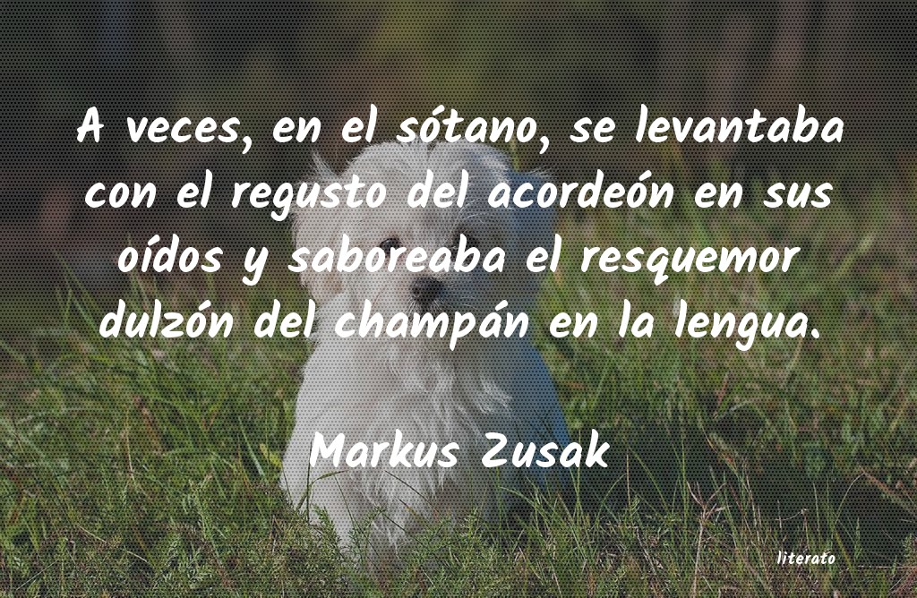 Frases de Markus Zusak