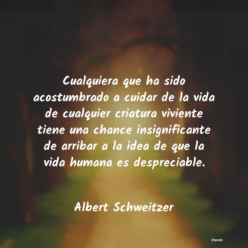 frases de Albert Schweitzer