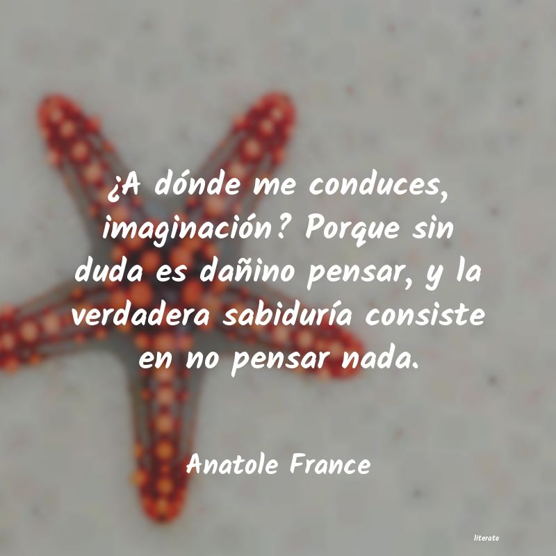 frases de Anatole France