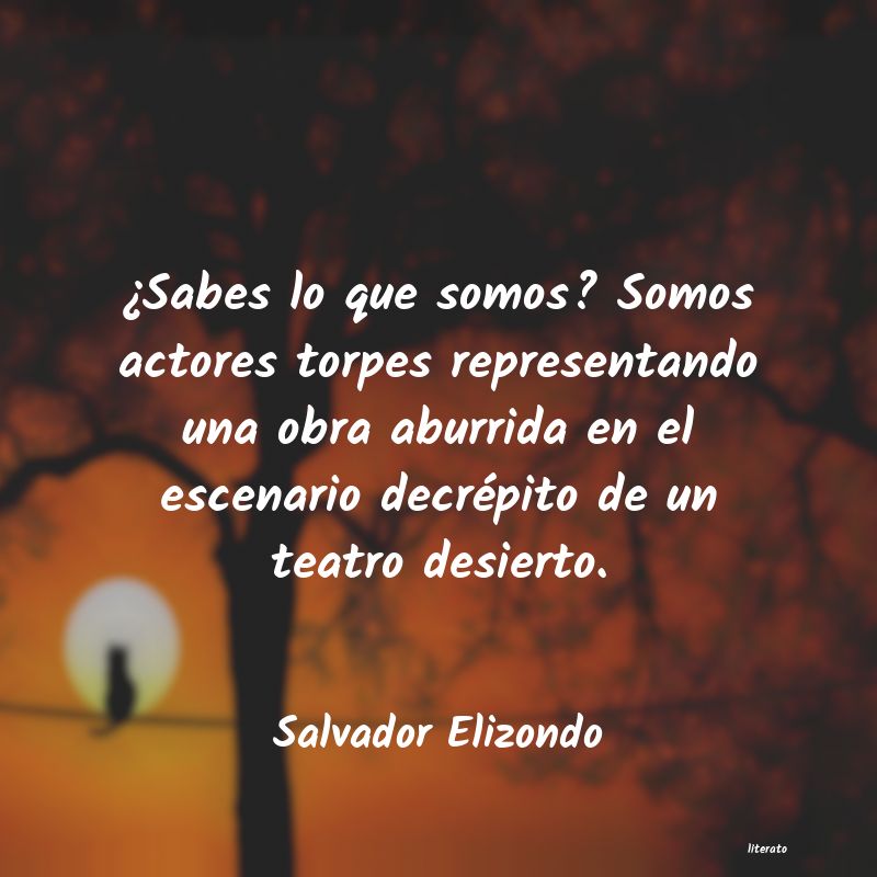 Frases de Salvador Elizondo