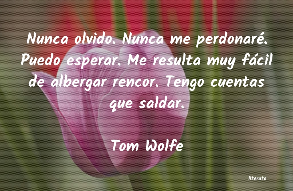 Frases de Tom Wolfe