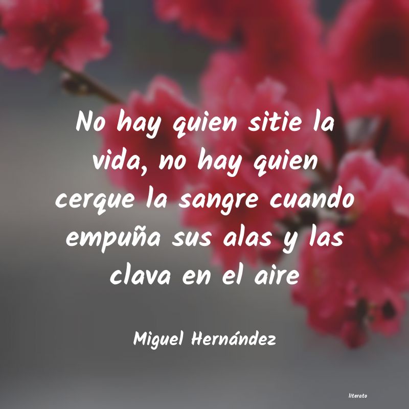 Frases de Miguel Hernández