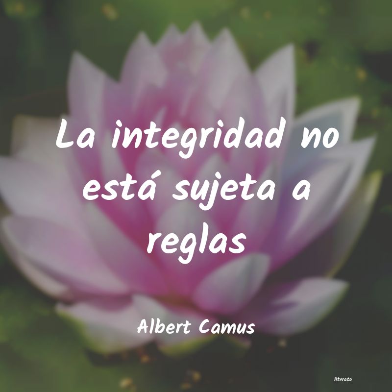 Frases de Albert Camus