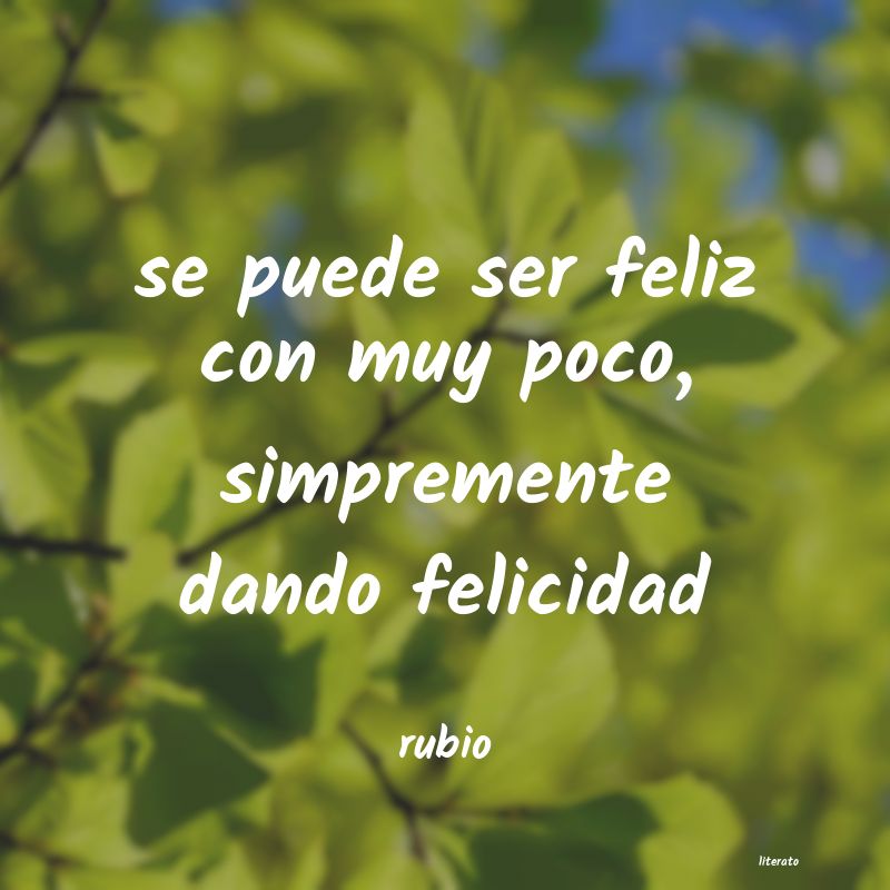 frases de rubio