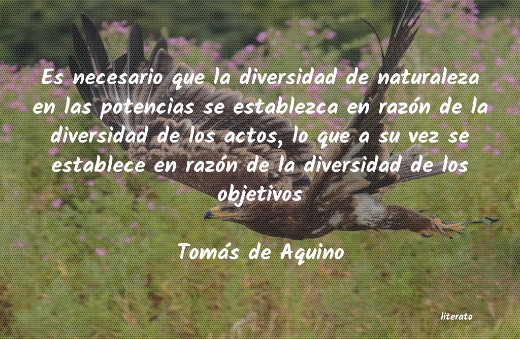 Frases de Tomás de Aquino