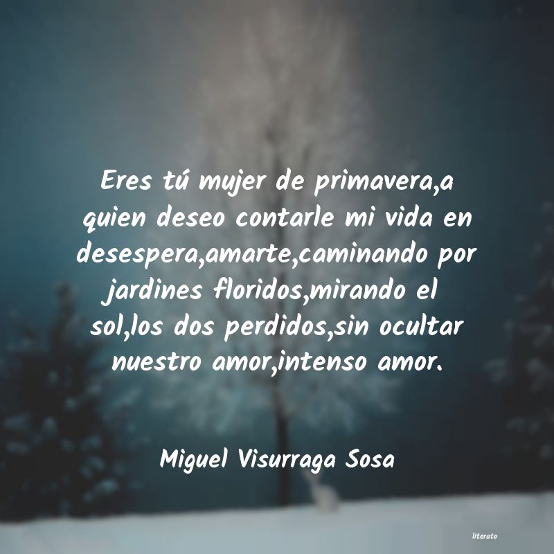 Frases de Miguel Visurraga Sosa