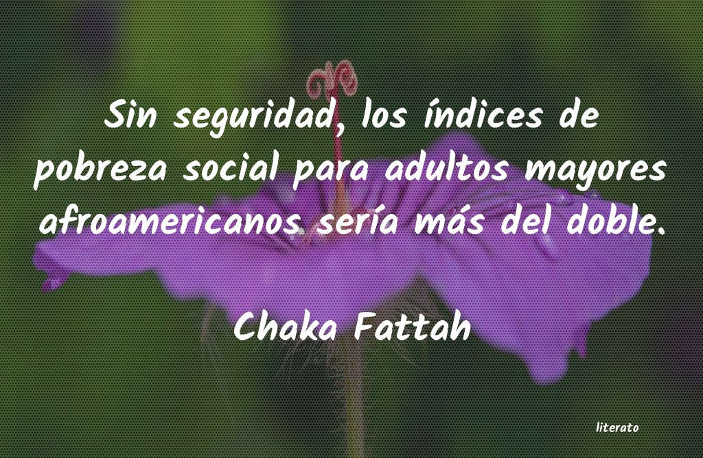 Frases de Chaka Fattah