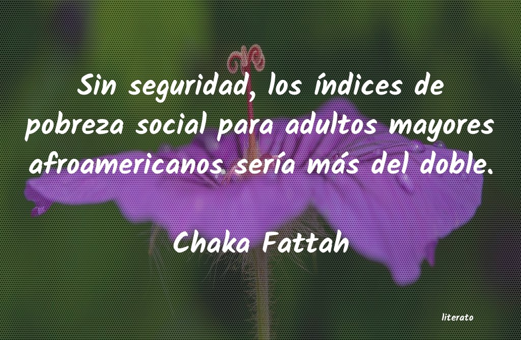 frases de Chaka Fattah