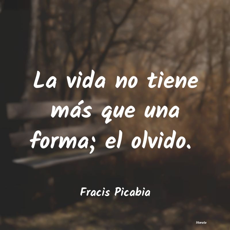 frases de Fracis Picabia