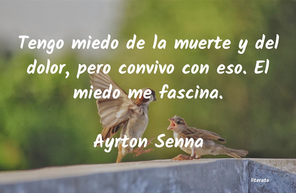 frases de Ayrton Senna