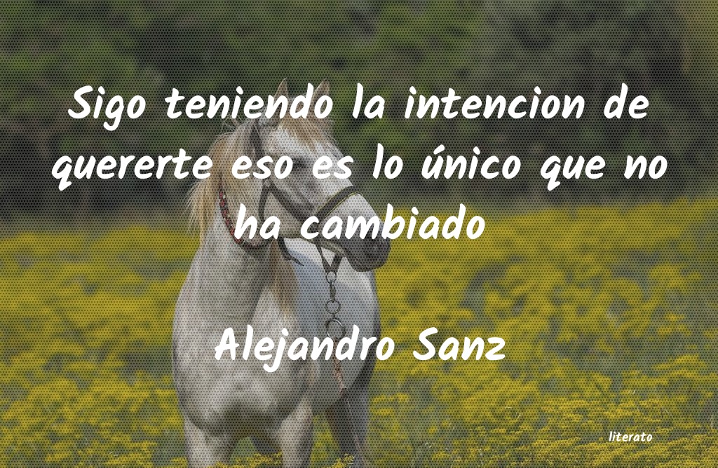 Frases de Alejandro Sanz