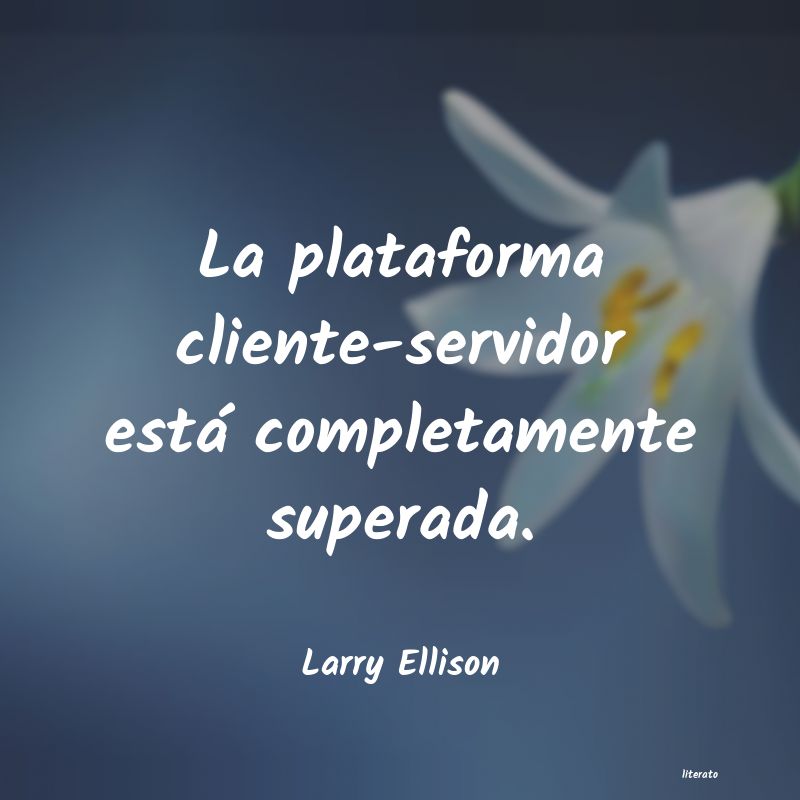 Frases de Larry Ellison