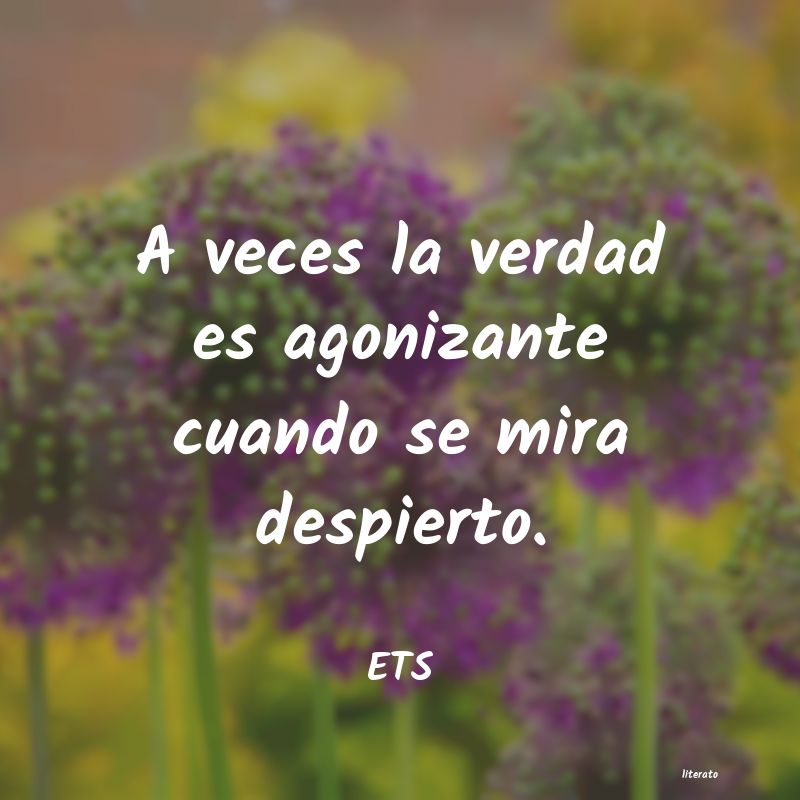 Frases de ETS