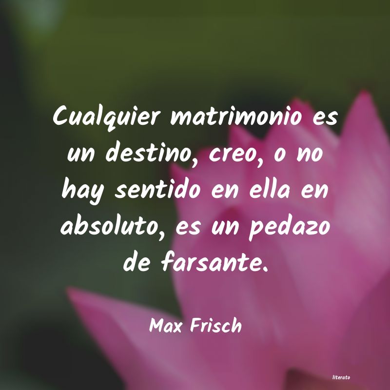 Frases de Max Frisch