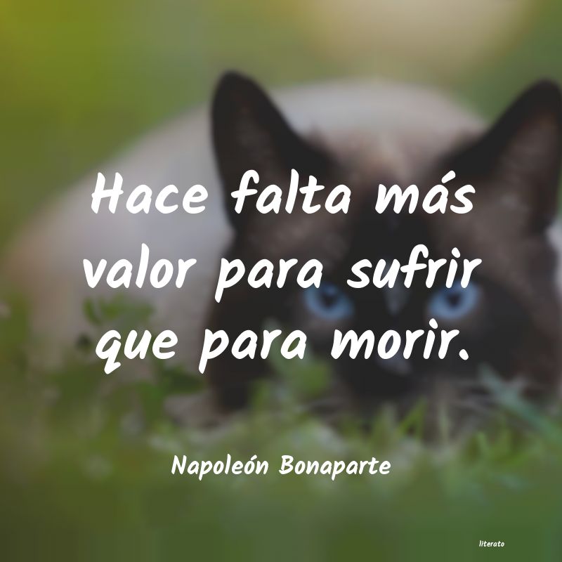 frases de Napoleón Bonaparte