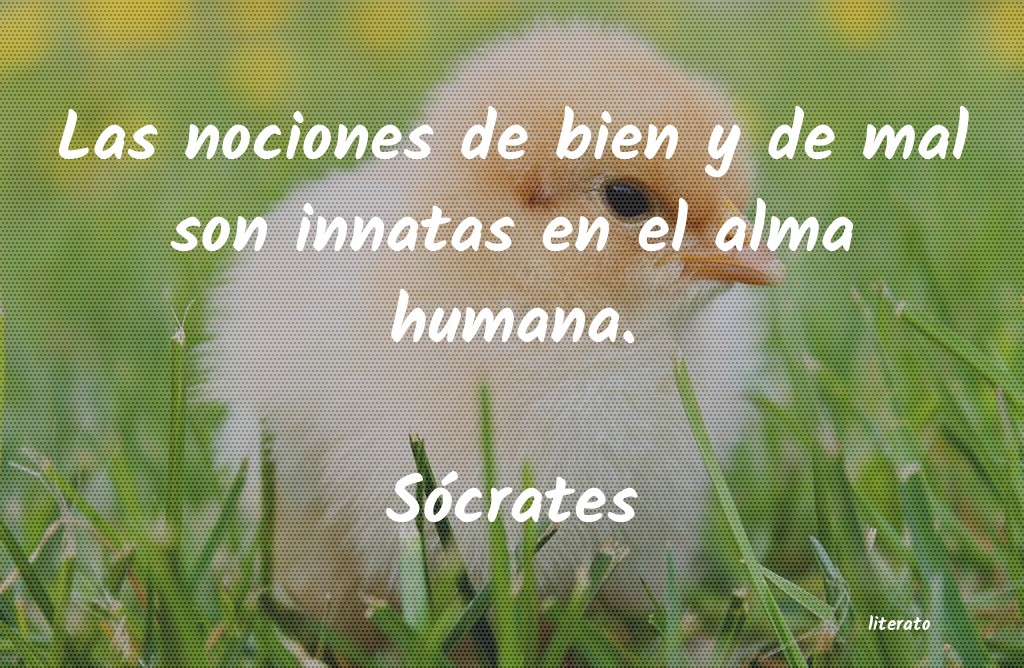 Frases de Sócrates