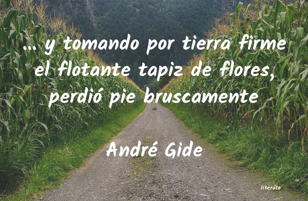 Frases de André Gide