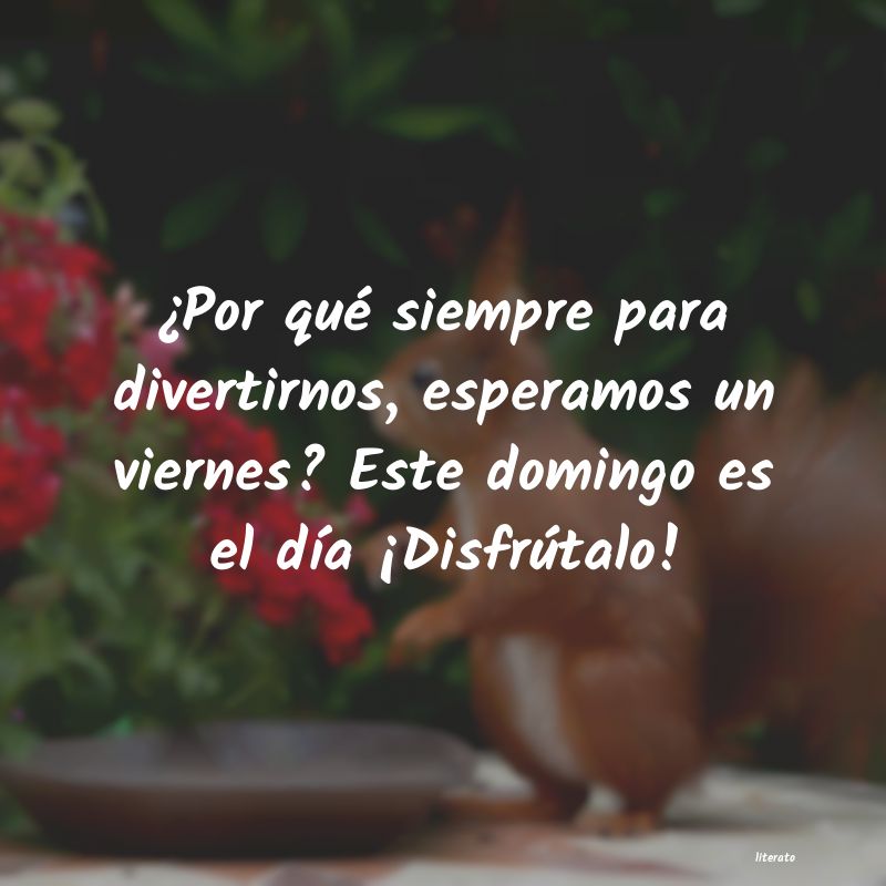 frases