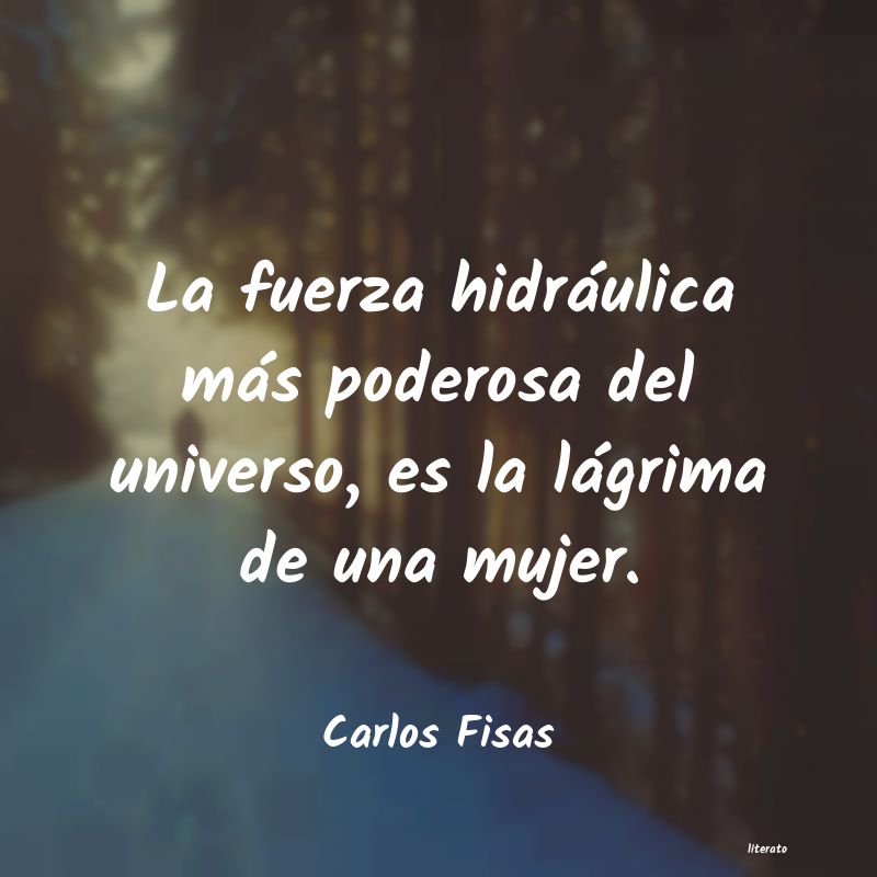 Frases de Carlos Fisas