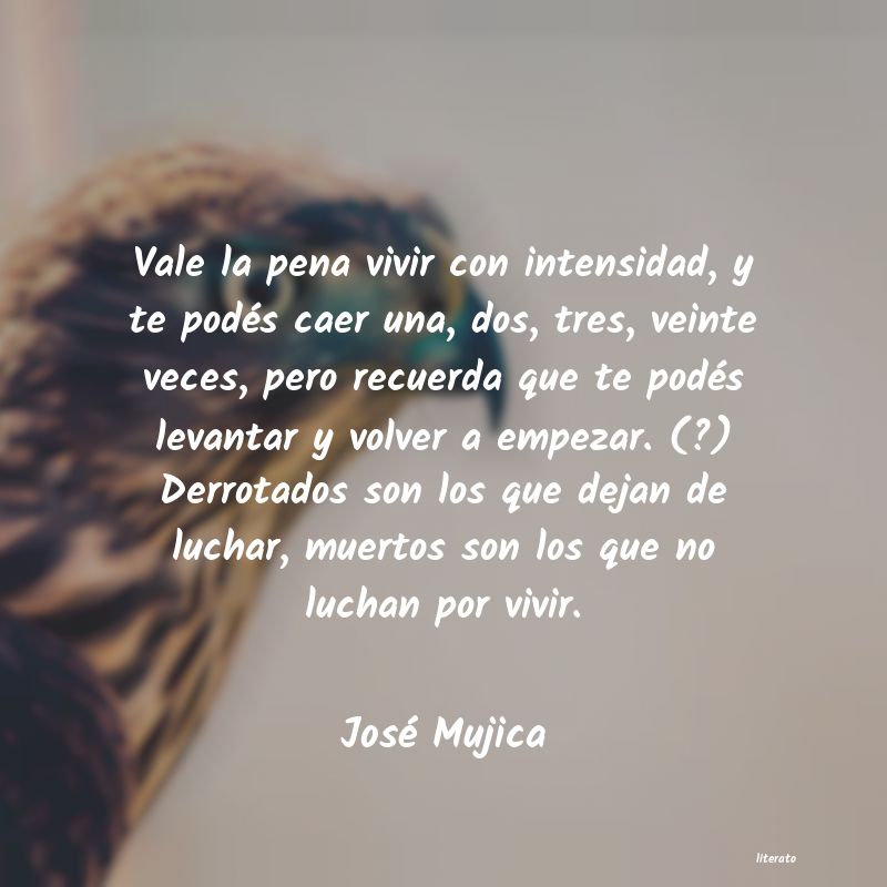 frases de José Mujica