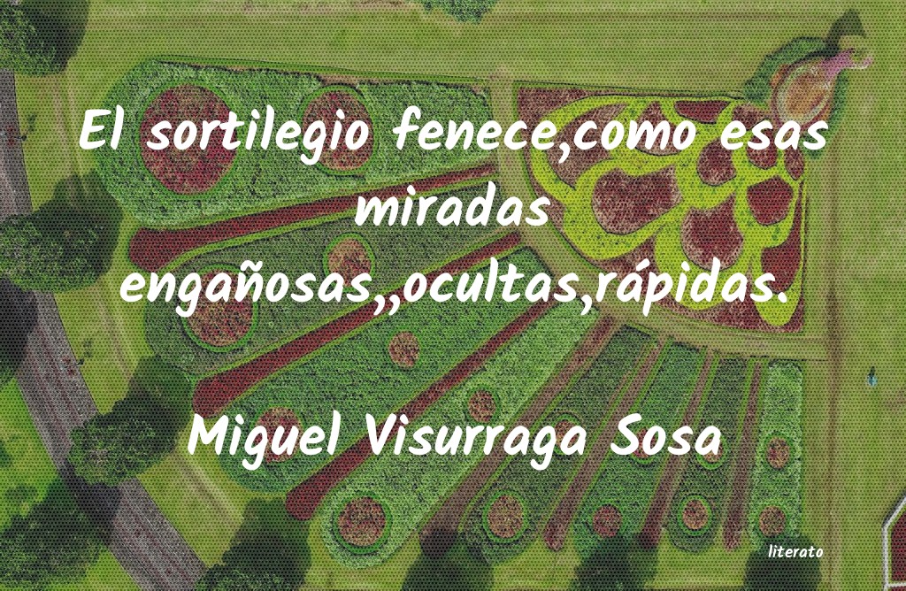 Frases de Miguel Visurraga Sosa