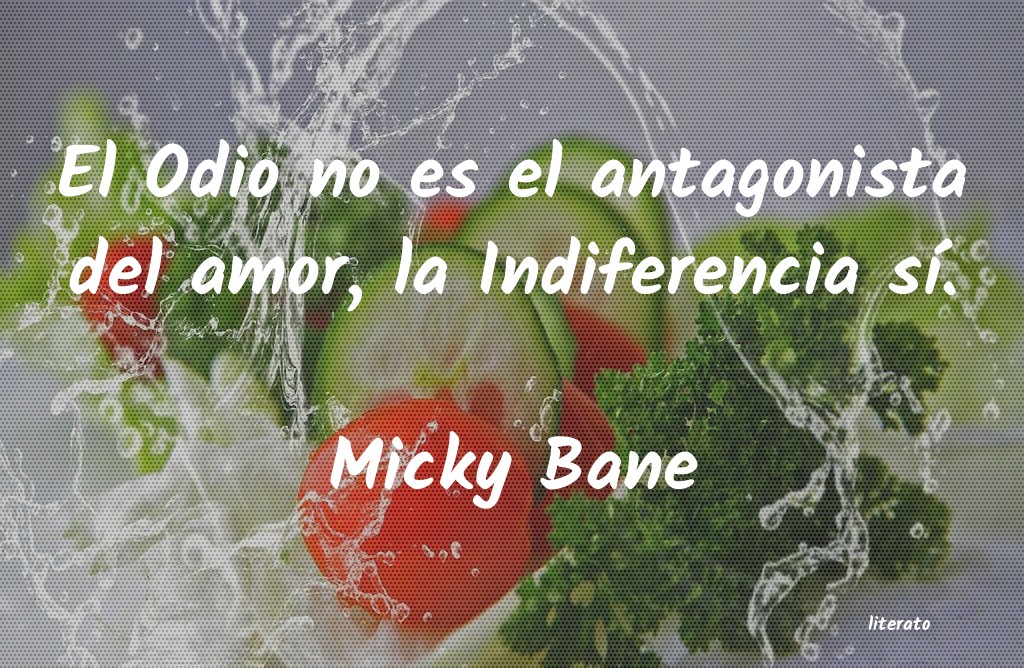 Frases de Micky Bane