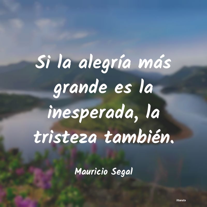 frases de Mauricio Segal