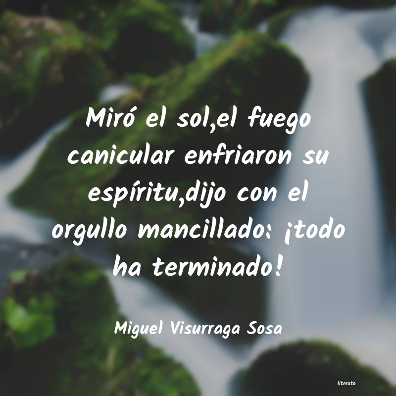 Frases de Miguel Visurraga Sosa