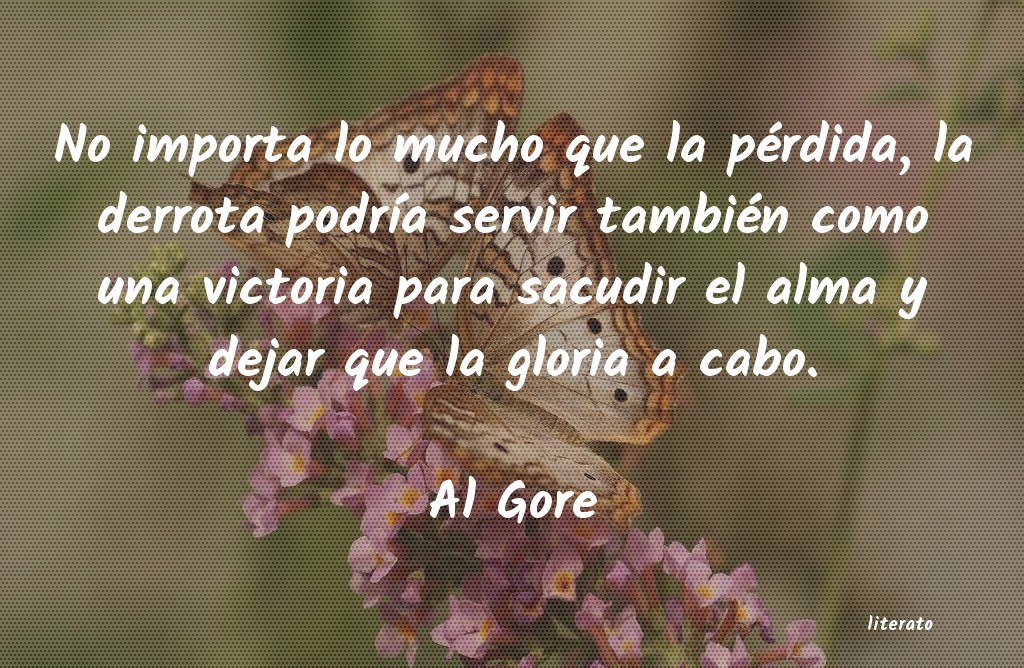 Frases de Al Gore