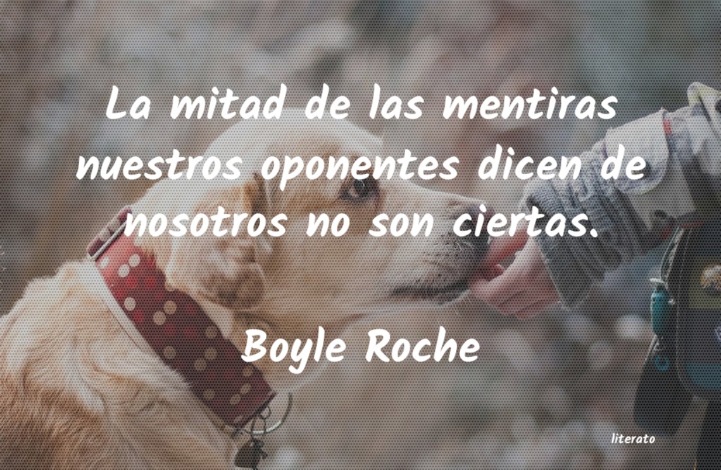 Frases de Boyle Roche