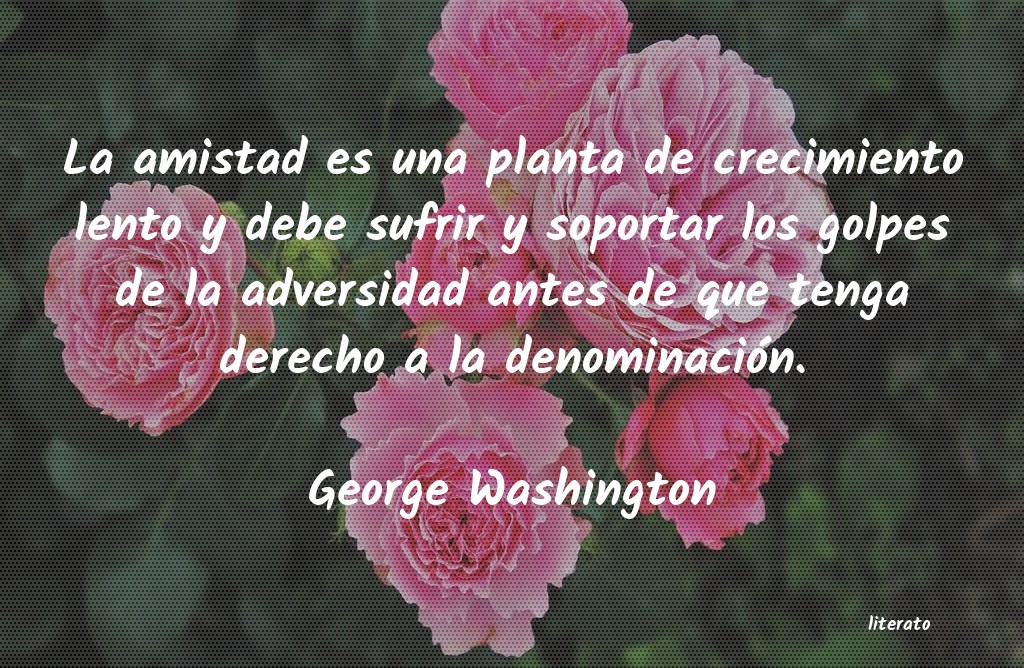 frases de George Washington