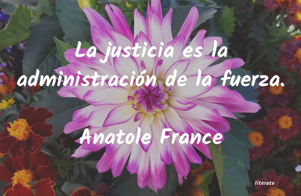 Frases de Anatole France