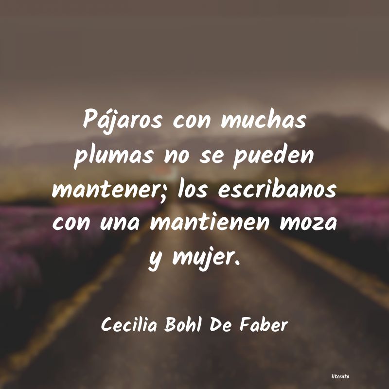 Frases de Cecilia Bohl De Faber