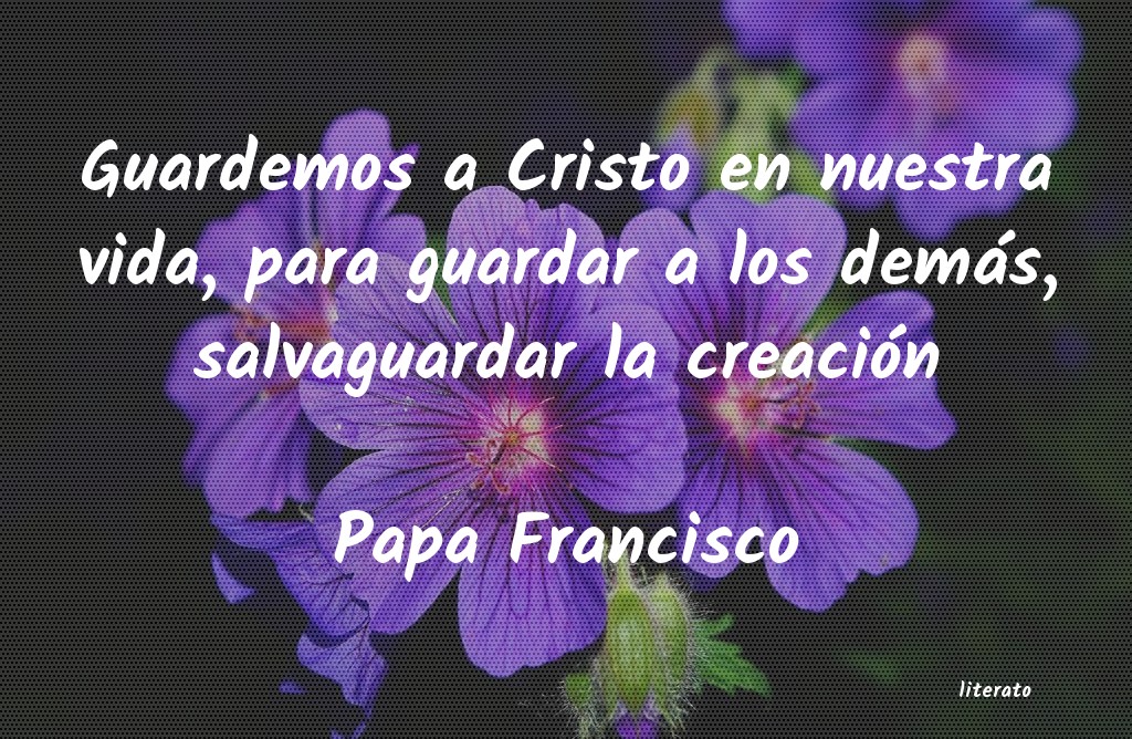 Frases de Papa Francisco