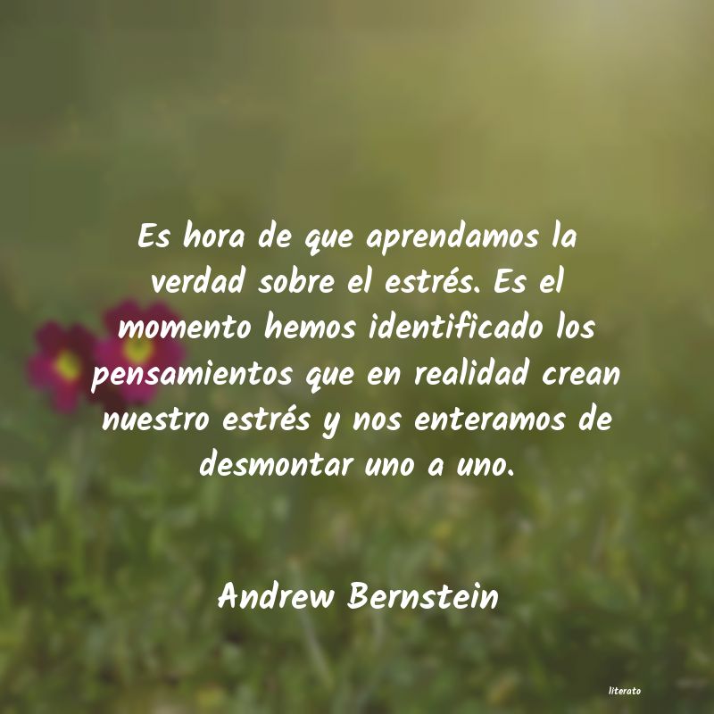 Frases de Andrew Bernstein