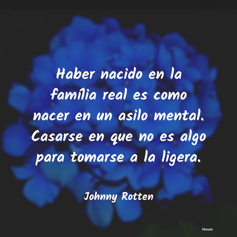 Frases de Johnny Rotten