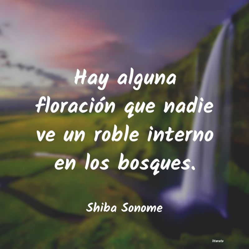 frases de Shiba Sonome