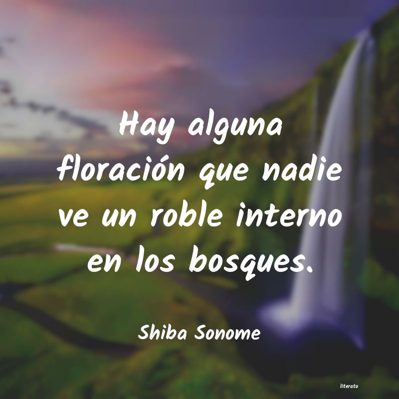 Frases de Shiba Sonome