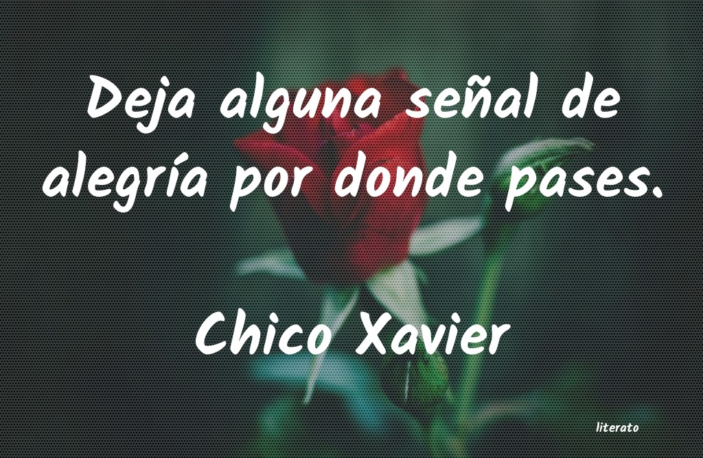 Frases de Chico Xavier
