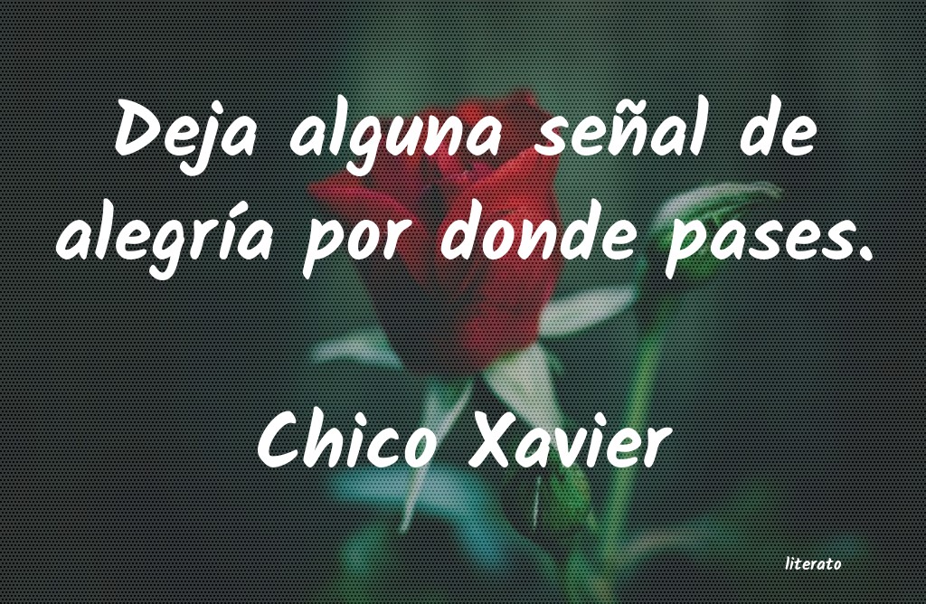 frases de Chico Xavier